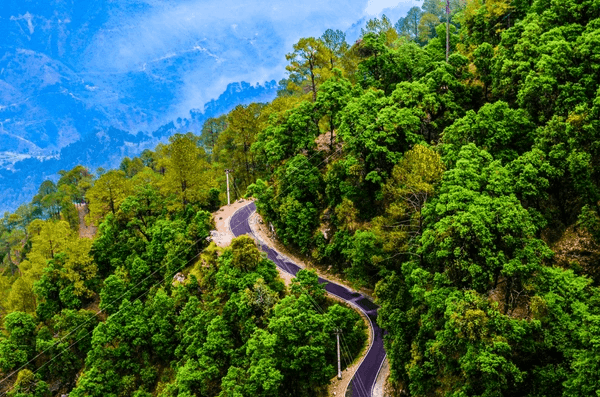 Day 1: Arrival in Guwahati